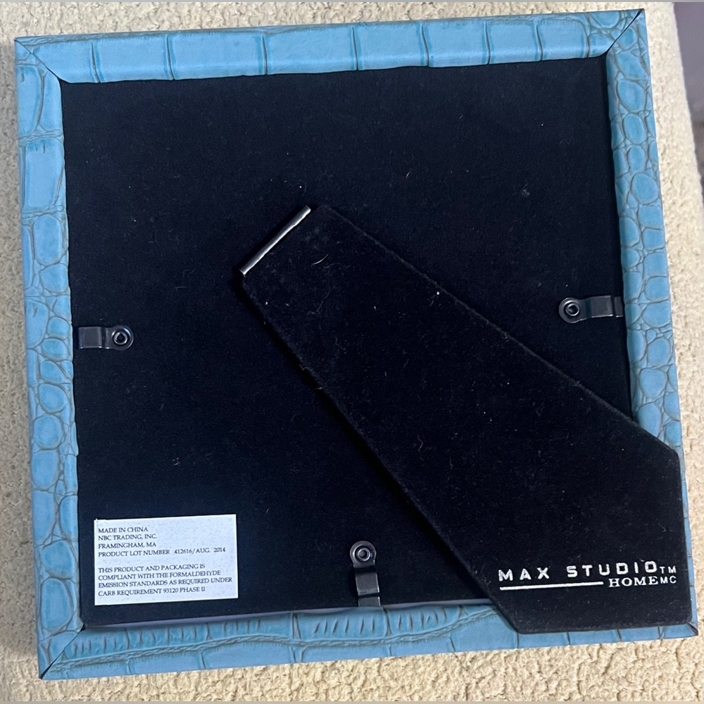 Max Studio Teal Frame - Picture 2 of 3